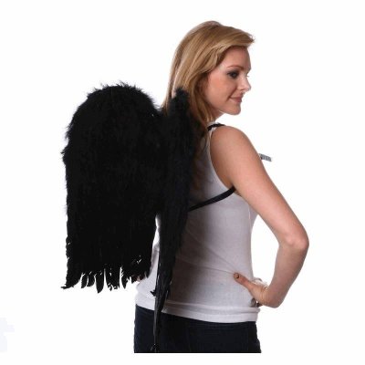 Black Feather Wings 23.5 Inches Tall