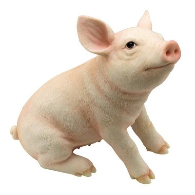 Baby Arnold Enjoying the Day Pig Figurine