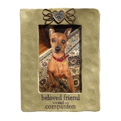 Beloved Friend & Companion Pet Photo Frame