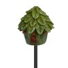 Birdhouse Offered in 7 Styles Fairy Garden Figurine