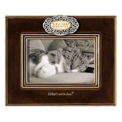 Meow What is Not to Love Pet Cat Photo Frame