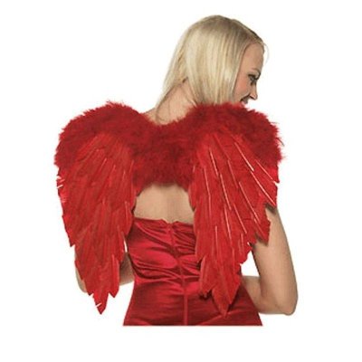 Red Feather Wings 19 Inches Tall