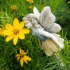 Kimberly Fairy Garden Figurine