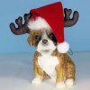 Boxer Dog Ornament Christmas Santa Hat & Horns Figurine